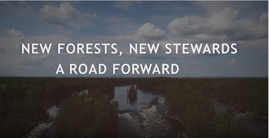 A Road Forward Video